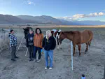 Great Basin Desert Field Work