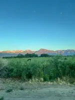Summer in the Great Basin