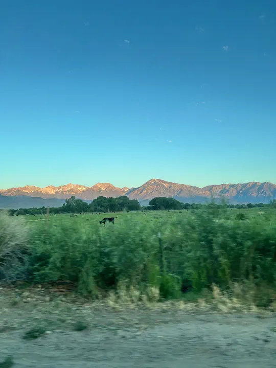 Summer in the Great Basin