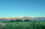 Summer in the Great Basin