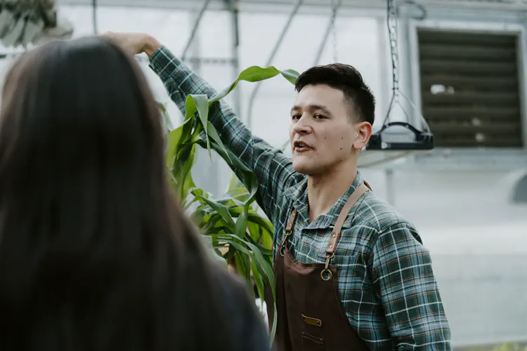 1124_Greenhouse_002.JPG