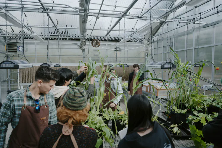 1124_Greenhouse_004.JPG