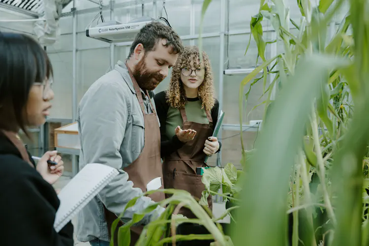 1124_Greenhouse_011.JPG