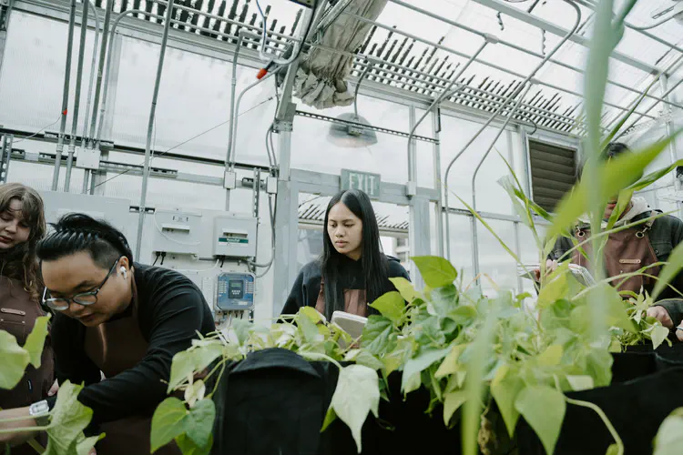 1124_Greenhouse_016.JPG