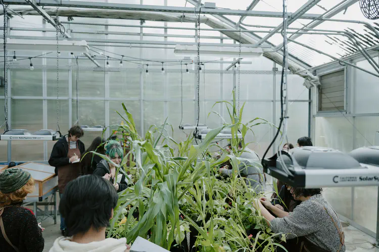 1124_Greenhouse_046.JPG