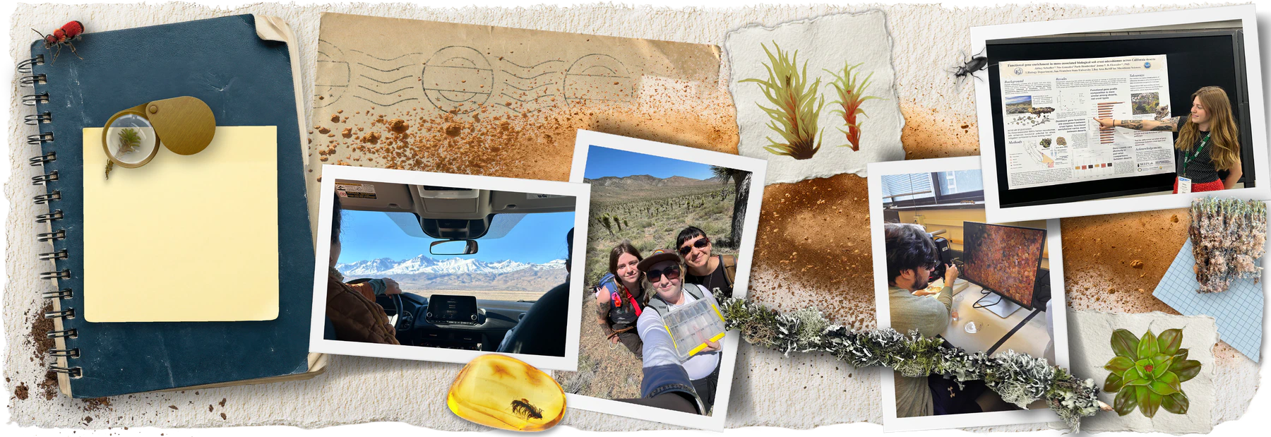 MEEP Lab fieldwork, lab work, and research presentations