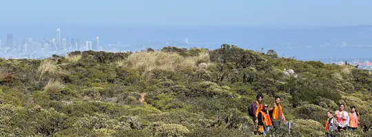 Newest members of the MEEP Lab!