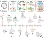 Life on the dry side: a roadmap to understanding desiccation tolerance and accelerating translational applications