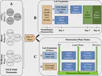 Recovery from extreme desiccation enhanced by humid air and elevated CO2 in a widespread desert plant