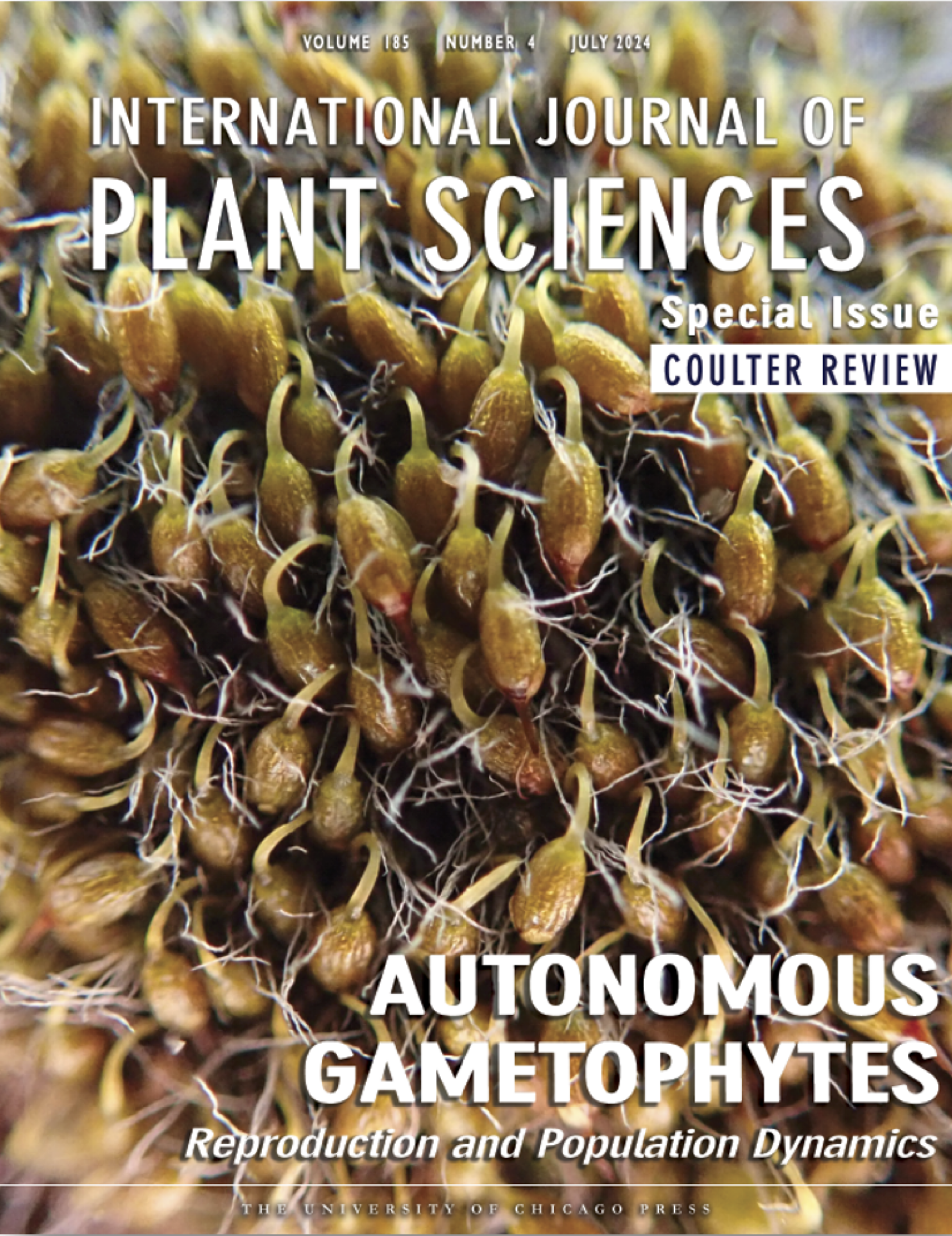 Our 2024 <i>IJPS</i> Coulter Review will get the cover of the July 2024 issue. This is a mockup.